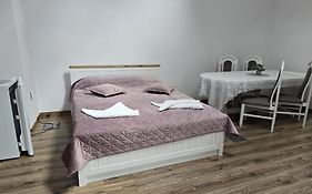 Apartament La Cetate